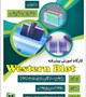 کارگاه آموزش پیشرفته western blot